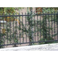 Détail d'une balustrade à Meylan